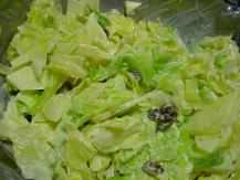 ��ŃL���x�c�ƃ����S�̃T���_�̎ʐ^