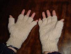 �w������܂̎ʐ^