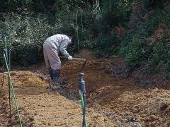 �ׂɂӂ����c�A���̎ʐ^�Q