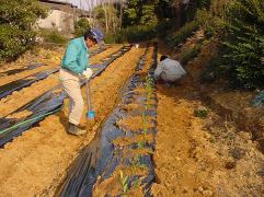 �ׂɂӂ����c�A���̎ʐ^�R