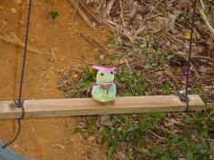 �Ԃ�񂱂ƃJ�G���l�`�̎ʐ^