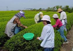 �Ƒ��ł����E�݂̎ʐ^