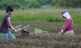 ������ƁA���i����̎ʐ^