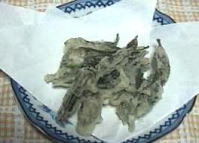 �V���̉�̓V�Ղ�̎ʐ^