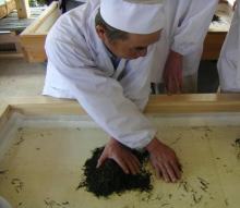 お茶の手もみ実演の写真