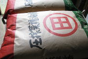 圧搾菜種油粕の写真